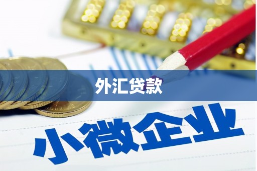 小店外汇贷款