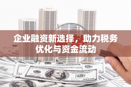 小店企业融资新选择，助力税务优化与资金流动