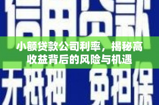 小店小额贷款公司利率，揭秘高收益背后的风险与机遇