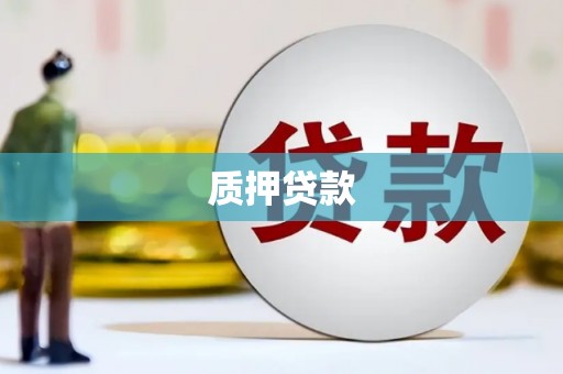 小店质押贷款