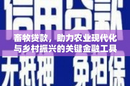 小店畜牧贷款，助力农业现代化与乡村振兴的关键金融工具