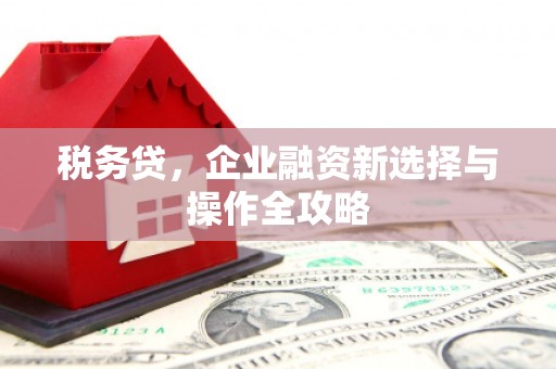 小店税务贷，企业融资新选择与操作全攻略