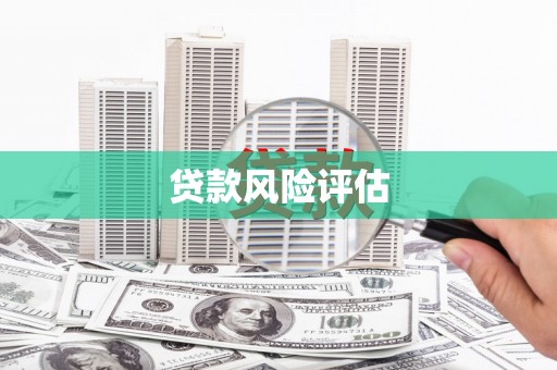 小店贷款风险评估