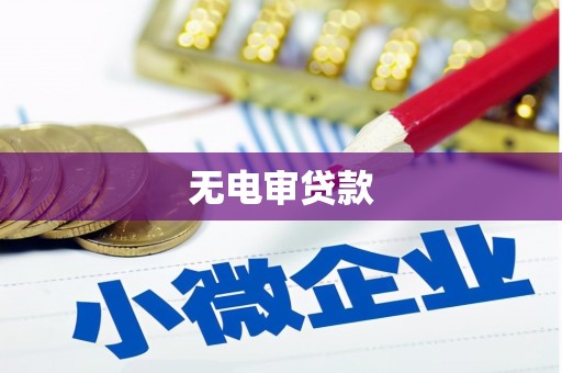 小店无电审贷款
