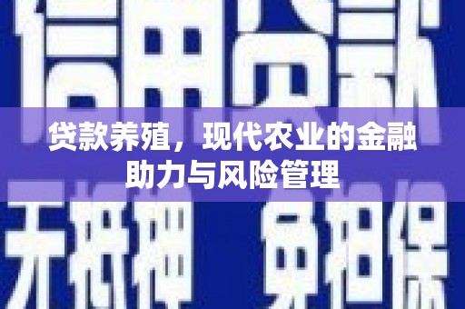 小店贷款养殖，现代农业的金融助力与风险管理