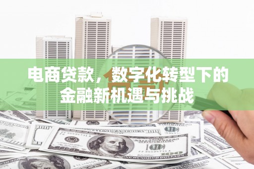 小店电商贷款，数字化转型下的金融新机遇与挑战