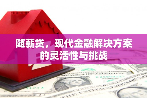 小店随薪贷，现代金融解决方案的灵活性与挑战