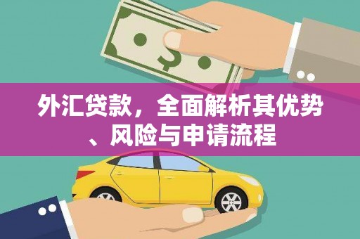 小店外汇贷款，全面解析其优势、风险与申请流程