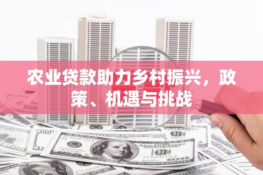 小店农业贷款助力乡村振兴，政策、机遇与挑战