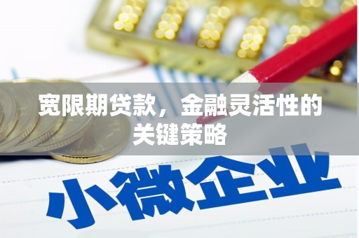 小店宽限期贷款，金融灵活性的关键策略