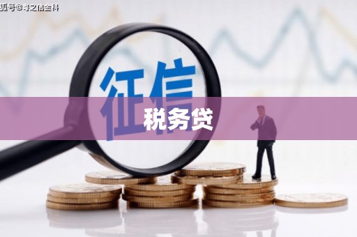 小店税务贷