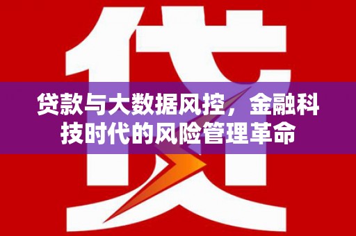 小店贷款与大数据风控，金融科技时代的风险管理革命