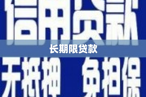 小店长期限贷款