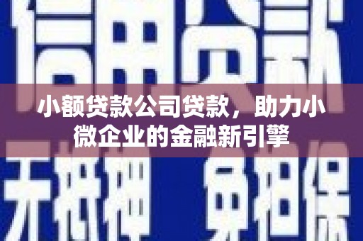 小店小额贷款公司贷款，助力小微企业的金融新引擎