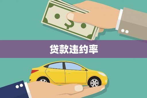 小店贷款违约率