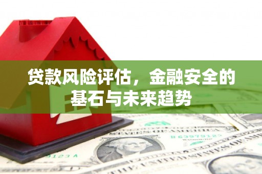 小店贷款风险评估，金融安全的基石与未来趋势