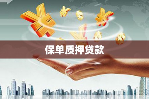 小店保单质押贷款