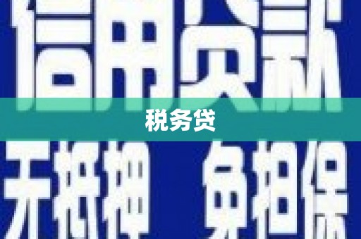 小店税务贷