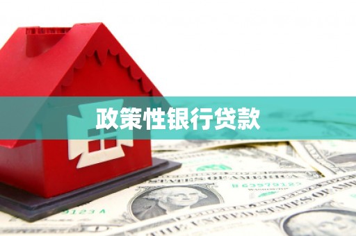 小店政策性银行贷款