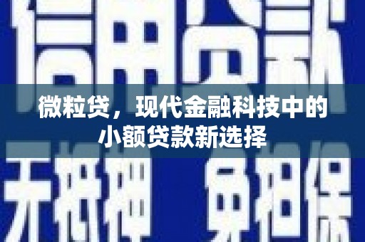 小店微粒贷，现代金融科技中的小额贷款新选择
