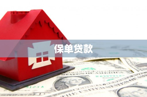 小店保单贷款