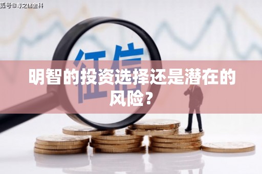 小店明智的投资选择还是潜在的风险？