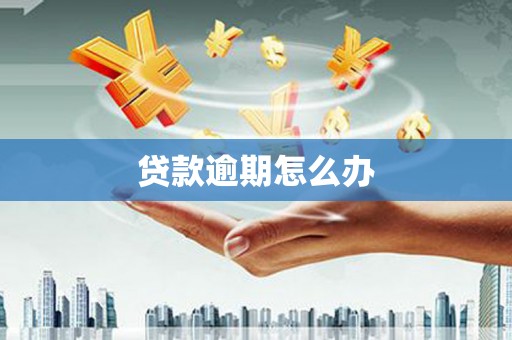 小店贷款逾期怎么办