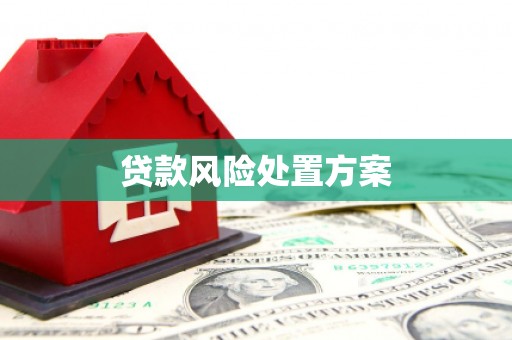 小店贷款风险处置方案