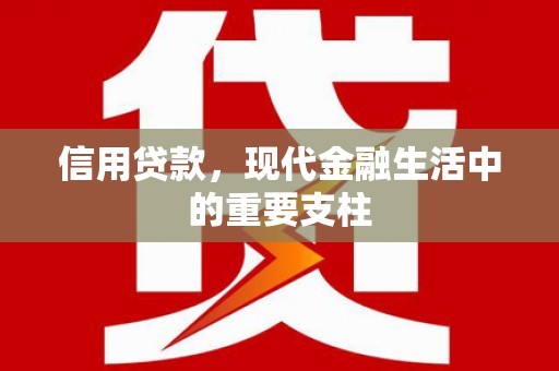 小店信用贷款，现代金融生活中的重要支柱