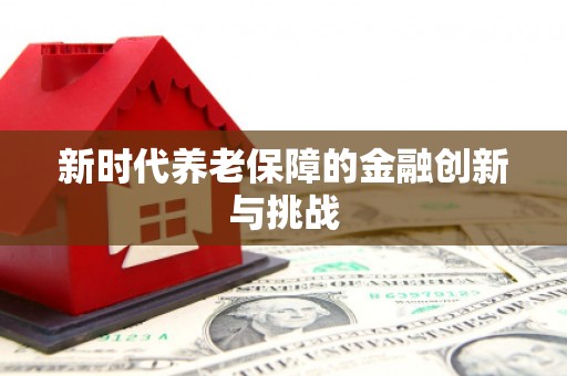 小店新时代养老保障的金融创新与挑战