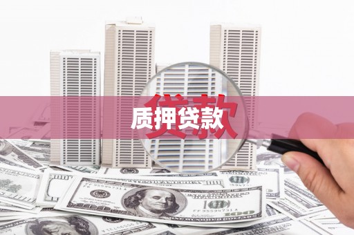 小店质押贷款
