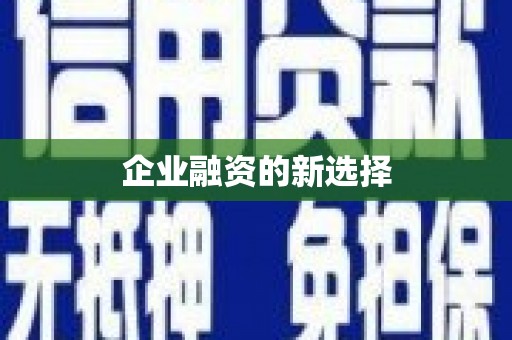 小店企业融资的新选择
