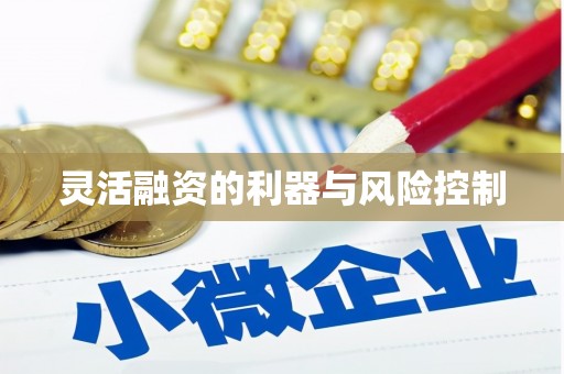 小店灵活融资的利器与风险控制