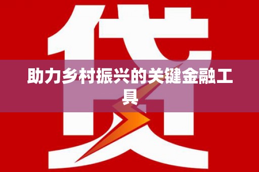 小店助力乡村振兴的关键金融工具