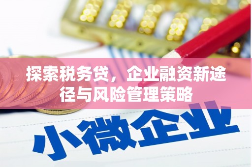 小店探索税务贷，企业融资新途径与风险管理策略
