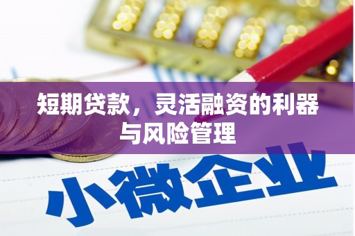 小店短期贷款，灵活融资的利器与风险管理
