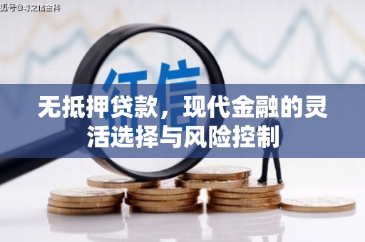 小店无抵押贷款，现代金融的灵活选择与风险控制