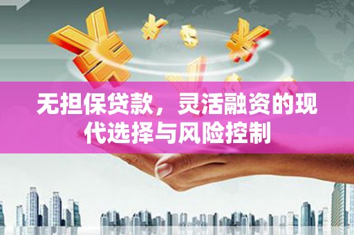 小店无担保贷款，灵活融资的现代选择与风险控制