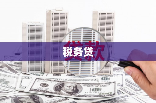 小店税务贷