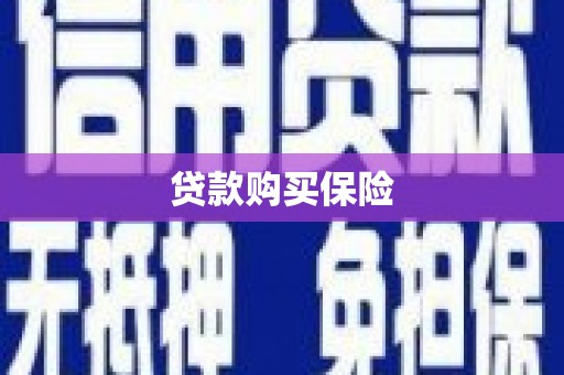 小店贷款购买保险