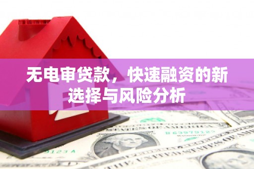 小店无电审贷款，快速融资的新选择与风险分析