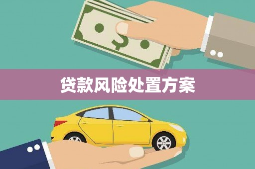 小店贷款风险处置方案