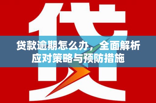 小店贷款逾期怎么办，全面解析应对策略与预防措施