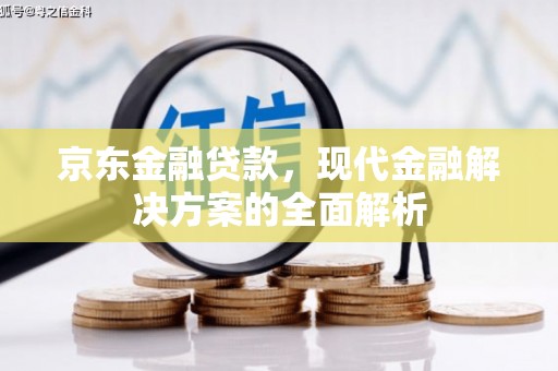 小店京东金融贷款，现代金融解决方案的全面解析
