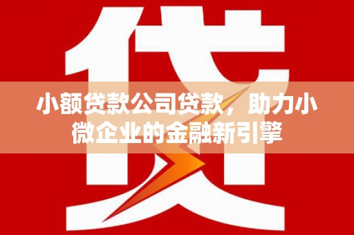 小店小额贷款公司贷款，助力小微企业的金融新引擎