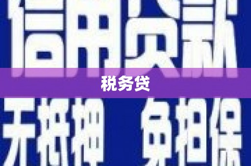 小店税务贷