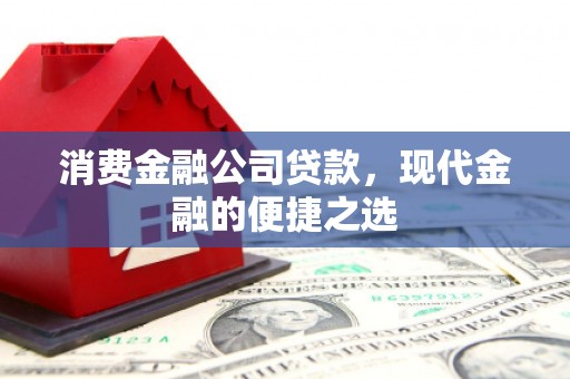 小店消费金融公司贷款，现代金融的便捷之选