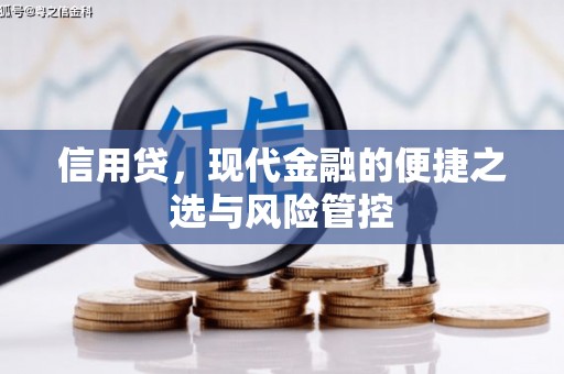 小店信用贷，现代金融的便捷之选与风险管控