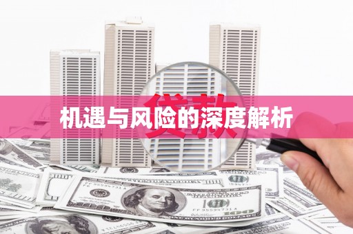 小店机遇与风险的深度解析