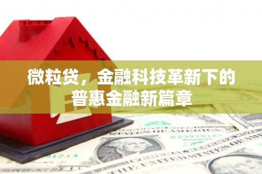 小店微粒贷，金融科技革新下的普惠金融新篇章